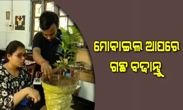 କମାଲ କଲେ ଓଡିଆ ଛାତ୍ରଛାତ୍ରୀ । ଗଛ ସୁରକ୍ଷା ପାଇଁ ଉଦ୍ଭାବନ କଲେ ଭିନ୍ନ ଧରଣର ଆପ୍, ଘରେ ବସି ଗଛ ସର୍ମ୍ପକରେ ଟିକିନିକି ତଥ୍ୟ ପାଇପାରିବେ ଚାଷୀ