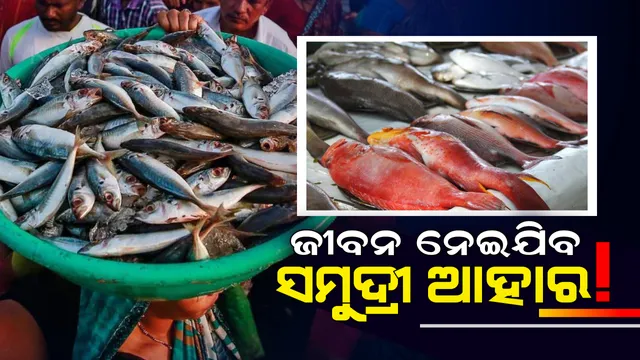 ସମୁଦ୍ରୀ ଆହାରରେ ବଢୁଛି ଆର୍ସେନିକର ସ୍ତର ! ମାଛ,ଚିଙ୍ଗୁଡି,କଙ୍କଡା ଭଳି ଖାଦ୍ୟ ନେଇଯାଇପାରେ ଆପଣଙ୍କ ଜୀବନ ।