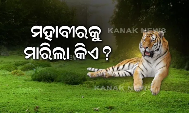 କେମିତି ମଲା ମହାବଳ ? ବିଶେଷଜ୍ଞ କହିଲେ, ବାହ୍ୟ ଆଘାତରୁ ହୋଇଥିଲା ସଂକ୍ରମଣ, ବନ ବିଭାଗର ପାରିବା ପଣିଆ ନେଇ ଉଠିଲା ପ୍ରଶ୍ନ ।