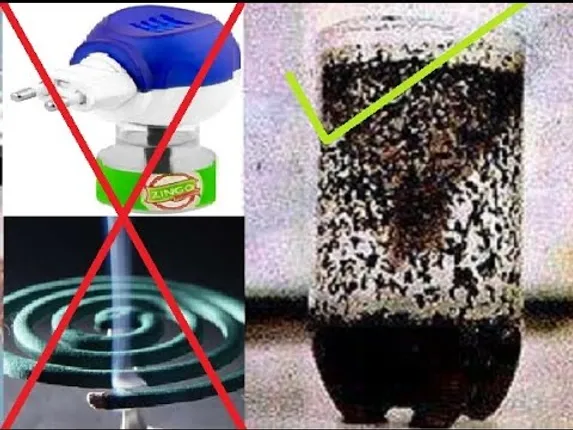 କଏଲ୍ କିମ୍ବା ସ୍ପ୍ରେ ନୁହଁ କୋଲଡ୍ରିଙ୍କ୍ ବୋତଲ ଆପଣଙ୍କୁ ମଶାଙ୍କ ଦାଉରୁ ଦେବ ସୁରକ୍ଷା ! ବୋତଲ ଫୋପାଡୁ ଥିଲେ ଆଜିଠାରୁ ସଂଗ୍ରହ କରିବା ଆରମ୍ଭ କରିଦିଅନ୍ତୁ ।