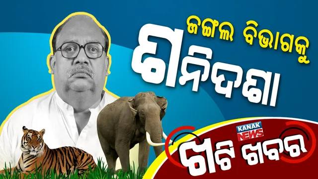 ବାଘ ମରୁଛି, ହାତୀ ମରୁଛି । ଜଙ୍ଗଲ ବିଭାଗ ଶୋଇ ରହିଛି?