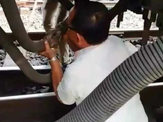 ଡବା ମଧ୍ୟରେ ବସି ପାଇପ୍ ସଜାଡ଼ୁଥିଲେ ଗାର୍ଡ଼ : ହଠାତ୍ ଟ୍ରେନ୍ ଚଳାଇଦେଲେ ଚାଳକ, ତା’ପରେ ହେଲା କ’ଣ . . . .