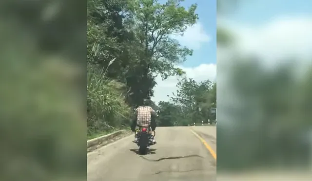 ବାଇକରେ ଯାଉଥିବା ସମୟରେ ଚାଳକଙ୍କ ଉପରକୁ ଡେଇଁଲା ସାପ : ସୁରକ୍ଷିତ ଭାବେ ଏମିତି ପାର କଲେ ରାସ୍ତା । ଚର୍ଚ୍ଚାରେ ଭିଡିଓ 