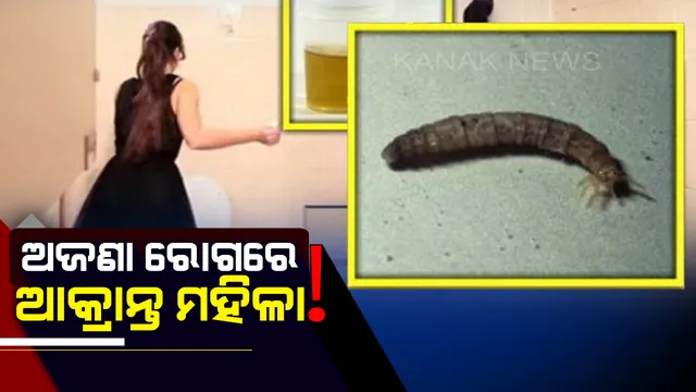 ଏଭଳି ଏକ ଅଜଣା ରୋଗରେ ଆକ୍ରାନ୍ତ ମହିଳା ଯେଉଁଥିରେ ମୂତ୍ରାଶୟରୁ ବାହାରୁଛି କୀଟ ! ପ୍ରଥମଥର ଡାକ୍ତର ବି ଦେଖି ହୋଇଗଲେ ଚକିତ ।