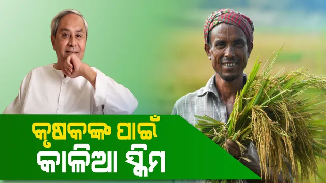 କୃଷି ଋଣ ଛାଡ ଠାରୁ କାହିଁକି ଭଲ ‘କାଳିଆ’ ଯୋଜନା ? ଜାଣନ୍ତୁ ଏହି ଯୋଜନାରେ ଚାଷୀଙ୍କୁ ଅଧିକ କଣ ମିଳିବ ଫାଇଦା