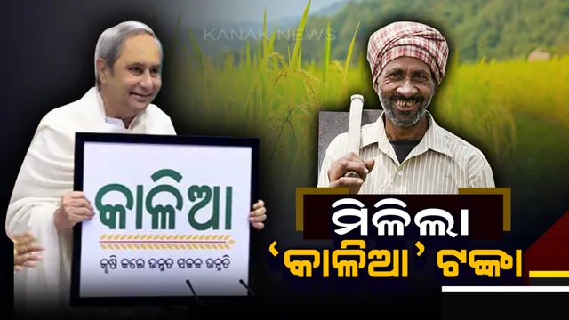 କାଳିଆ ଧାମରେ ‘କାଳିଆ’ ଯୋଜନାର ଶୁଭାରମ୍ଭ କଲେ ମୁଖ୍ୟମନ୍ତ୍ରୀ ନବୀନ ପଟ୍ଟନାୟକ! ପ୍ରଥମ ପର୍ଯ୍ୟାୟରେ ୧୨ ଲକ୍ଷ ୪୫ ହଜାର ଚାଷୀଙ୍କୁ ମିଳିବ ଟଙ୍କା