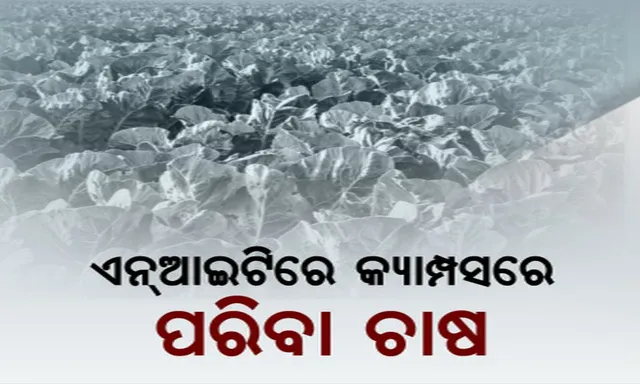 ଜୈବିକ ପଦ୍ଧତିରେ ଚାଷ ପ୍ରତି ମନ ବଳେଇଲା ଜାତୀୟ ପ୍ରଯୁକ୍ତି ପ୍ରତିଷ୍ଠାନ ! କ୍ୟାମ୍ପସରେ ହେଲା ପରିବା ଚାଷ, ଗବେଷଣା କରିବେ ଛାତ୍ରଛାତ୍ରୀ ଓ ଅଧ୍ୟାପକ ।