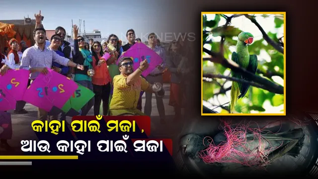 କ୍ଷଣିକ ମଜା ପାଇଁ ଚାଲିଯାଉଛି ନିରୀହଙ୍କ ଜୀବନ ! କେଉଁଠି ଶୁଆ ଫାଶୀ ଦେଲା ଭଳି ଦିଶୁଛି ତ ଆଉ କେଉଁଠି ସୂତାରେ ଛଟପଟ ହେଉଛି ପାରା , କ’ଣ ଏ ହେଉଛି ଆମ ପରମ୍ପରା ?