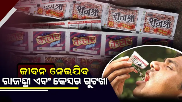 ରାଜଶ୍ରୀ ଏବଂ କେସର ଗୁଟଖାରୁ ମିଳିଲା ଗେମ୍ବିୟର୍ ଭଳି ବିଷାକ୍ତ ତତ୍ତ୍ୱ ! ଚମଡା ରଙ୍ଗ ହେଉଥିବା ତତ୍ତ୍ୱକୁ ଚୋବାଇ ଚୋବାଇ ଖାଉଛନ୍ତି ଲୋକ ।