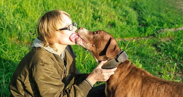 ଘରେ କୁକୁର ରଖିଥିଲେ ସାବଧାନ ! କୁକୁରରୁ ବ୍ୟାପୁଛି ଏହି ଭୟଙ୍କର ରୋଗ ।