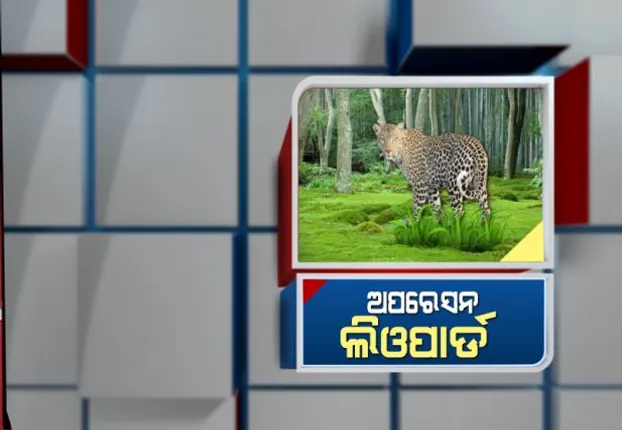 ସରିଲା ପ୍ରଥମ ପର୍ଯ୍ୟାୟ ଅପରେସନ : ଜଙ୍ଗଲରୁ ବାଘ ନପାଇ ଫେରିଲେ ଓୟୁଏଟି ଓ ନନ୍ଦନକାନନର ସ୍ୱତନ୍ତ୍ର ବିଶେଷଜ୍ଞ ଦଳ