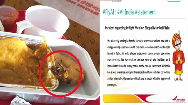 ଏୟାର ଇଣ୍ଡିଆ ଖାଦ୍ୟରୁ ଅସରପା ମିଳିଥିବା ମାମଲା : ଯାତ୍ରୀ କହିଲେ, କେବଳ କ୍ଷମା ନୁହେଁ କାର୍ଯ୍ୟାନୁଷ୍ଠାନ ନେଉ ଏୟାର ଇଣ୍ଡିଆ