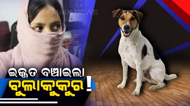 ବୁଲାକୁକୁରକୁ ପ୍ରତିଦିନ ରୁଟି ଖାଇବାକୁ ଦେଉଥିଲେ ଯୁବତୀ , ରୁଟି ବଦଳରେ ଯୁବତୀଙ୍କ ଇଜ୍ଜତ ବଞ୍ଚାଇ ଋଣ ସୁଝିଦେଲା କୁକୁର । 