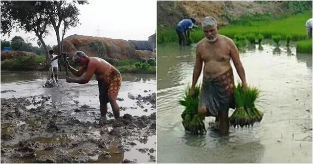 ଏମିତି ଜଣେ ମନ୍ତ୍ରୀ, ବିଳାସପୂର୍ଣ୍ଣ ଜୀବନରୁ ଦୂର ଆଜି ବି କରନ୍ତି ଚାଷ । ରାଜନୀତିରୁ ସମୟ କାଢ଼ି ଚାଷ ଜମିରେ ବୁହାନ୍ତି ଝାଳ