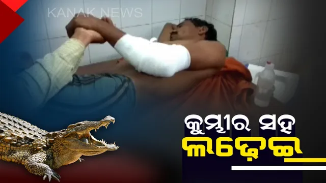 କୁମ୍ଭୀର ମୁହଁରୁ ଅଳ୍ପକେ ବର୍ତ୍ତିଲେ ଯୁବକ ! ରାଜନଗର ରାଜପୁର ଗାଁରେ ବ୍ରାହ୍ମଣୀ ନଦୀରେ ଗାଧୋଉଥିବାବେଳେ ଆକ୍ରମଣ କଲା କୁମ୍ଭୀର, ବାମ ହାତରେ ଲାଗିଛି ଗଭୀର ଆଘାତ