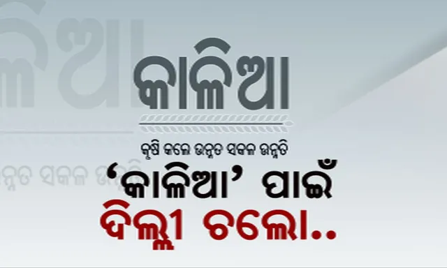 ‘କାଳିଆ’ ପାଇଁ ଦିଲ୍ଲୀ ଯିବ ବିଜେଡି ! ବିଜେପି ଚାପରେ କାଳିଆ ଯୋଜନା ଟଙ୍କା ଅଟକା ଯାଉଥିବା ନେଇ ମୁଖ୍ୟ ନିର୍ବାଚନ କମିଶନଙ୍କୁ ଫେରାଦ ହେବ ଦଳ ।