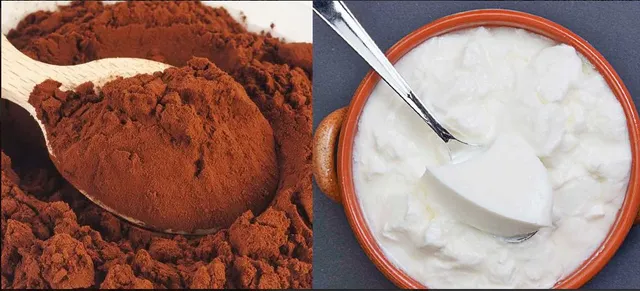 ଦହିରେ ଏହି ପାଉଡର୍ ଗୋଳାଇ ସେବନ କରନ୍ତୁ ଶରୀରରେ କର୍କଟ ସମସ୍ୟା ଦେଖାଯିବନାହିଁ ! ସହଜରେ କର୍କଟ ସମସ୍ୟାରୁ ମୁକ୍ତ ପାଇପାରିବେ ।