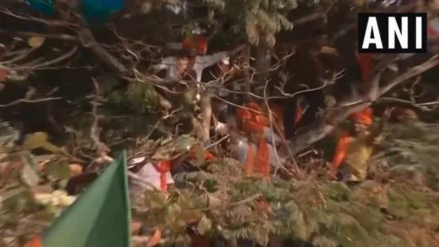 ମୋଦିଙ୍କ ସଭାରେ ଗଛ ଉପରକୁ ଚଢିଲେ ଲୋକେ । ଭାଷଣରେ ବ୍ରେକ ଲଗାଇଲେ ମୋଦି, ସମର୍ଥକକଙ୍କୁ କହିଲେ...? ଦେଖନ୍ତୁ ଭିଡିଓ