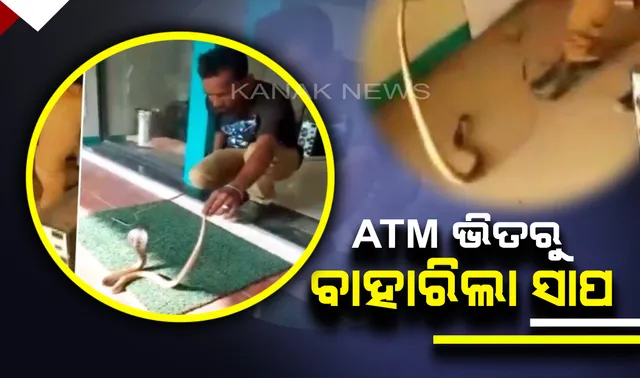 ଟଙ୍କା ବଦଳରେ ଏଟିଏମ୍ ମେସିନରୁ ବାହାରିଲା ବିଷଧର ସାପ । ସୋସିଆଲ ମିଡ଼ିଆରେ ଭାଇରାଲ ହେଲା ଭିଡ଼ିଓ ।