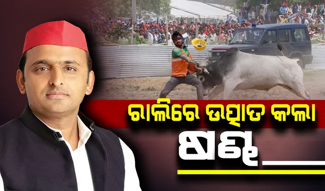 ଅଖିଳେଶ –ମାୟାବତୀଙ୍କ ରାଲିଲେ ପଶିଗଲା ଷଣ୍ଢ ! ଇତସ୍ତତ ହୋଇ ଦୌଡିଲେ ଲୋକ, ଭାଇରାଲ ହେଲା ଭିଡିଓ