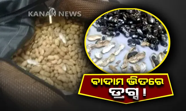 ଡ୍ରଗ୍ସ ତସ୍କରୀର ବିଚକ୍ଷଣ ଉପାୟ ! ବାଦାମ ଭିତରେ ଡ୍ରଗ୍ସ ଭର୍ତ୍ତି କରି ତସ୍କରୀ କରୁଥିବା ଅଭିଯୁକ୍ତକୁ ଏୟାରପୋର୍ଟରୁ ଧରିଲା ପୋଲିସ୍ ।