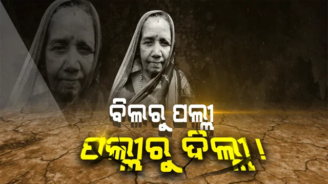 ପଲିଟିକ୍ସ ପରୀକ୍ଷାରେ ପ୍ରମିଳା ପାସ୍ । ଜଣେ ସାଧାରଣ ଏସଏଚଜି ସଂଗଠକରୁ ସଂସଦ ପର୍ଯ୍ୟନ୍ତ ରାସ୍ତା ।