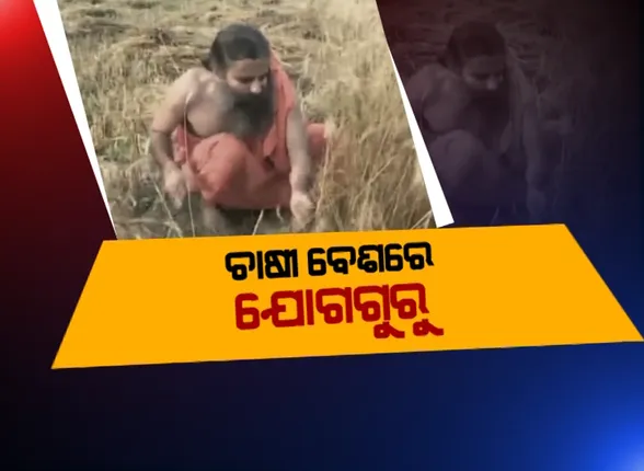 ନୂଆ ଅବତାରରେ ସାମ୍ନାକୁ ଆସିଲେ ଯୋଗଗୁରୁ : ଚାଷୀ ବେଶରେ ନଜର ଆସିଲେ ବାବା ରାମଦେବ, ହରିଦ୍ୱାର ପତଞ୍ଜଳି ପୀଠରେ ବିଲରେ ଗହମ କାଟିଲେ ବାବା