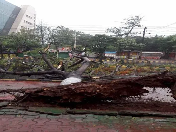 ୧୦୩୧ ମେଡିକାଲକୁ ଧ୍ୱସ୍ତବିଧ୍ୱସ୍ତ କରିଛି ବାତ୍ୟା ଫୋନି ! ବେହାଲ ସ୍ୱାସ୍ଥ୍ୟ ସେବା, ପୁରୀରେ ହୋଇଛି ସର୍ବାଧିକ କ୍ଷତି