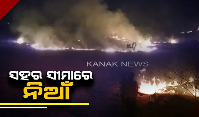 ସମ୍ବଲପୁର ସହର ନିକଟ ଲକ୍ଷ୍ମୀଡୁଙ୍ଗୁରୀରେ ନିଆଁ: ହୁତୁହୁତୁ ହୋଇ ଜଳିଗଲା ଜଙ୍ଗଲ