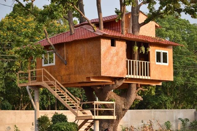 ଚର୍ଚ୍ଚାରେ କେନ୍ଦୁଝରର ଟ୍ରି-ହାଉସ । ସଉକରେ ତିଆରି ଏହି ଗଛ ଘରେ ରହିଛି ସମସ୍ତ ଅତ୍ୟାଧୁନିକ ବ୍ୟବସ୍ଥା ।