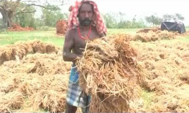 ବାତ୍ୟା ଫୋନିରେ ୧୪ ଜିଲ୍ଲା ପ୍ରଭାବିତ ! ରାଜ୍ୟରେ ମୋଟ ଦେଢ କୋଟିରୁ ଅଧିକ ଲୋକ ପ୍ରଭାବିତ