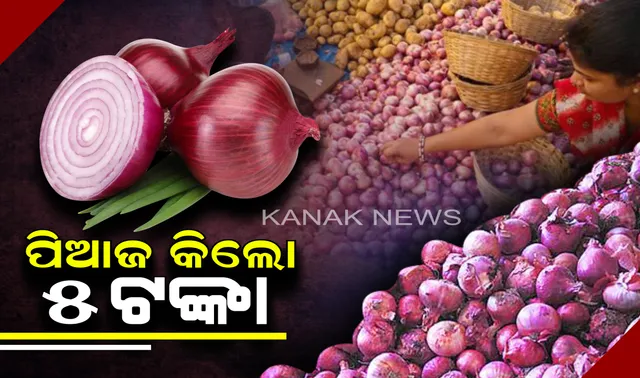 ଚାଷୀଙ୍କୁ କନ୍ଦାଇଲା ପିଆଜ । କଳାହାଣ୍ଡିରେ ପିଆଜର ଅଭାବୀ ବିକ୍ରୀ । କିଲୋ ପିଛା  ୫ଟଙ୍କାରେ ବ୍ୟବସାୟୀଙ୍କୁ ବିକୁଛନ୍ତି ଚାଷୀ