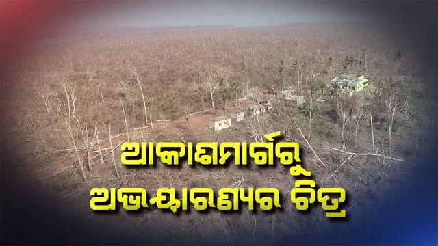 ବାତ୍ୟା ପରେ ଛାରଖାର ହୋଇଯାଇଛି ବାଲୁଖଣ୍ଡ । ଆକାଶମାର୍ଗରୁ ଖାଁ ଖାଁ ଲାଗୁଛି ଅଭୟାରଣ୍ୟ, ବନବିଭାଗ ଜାରିକଲା ନିଖୋଜ ଚିତ୍ରା ହରିଣର ଫଟୋ