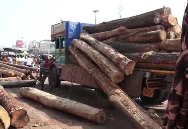 ରଥ କାଠ ଓହ୍ଲାଇବା ବେଳେ ଅଘଟଣ । ବନ ବିଭାଗ କର୍ମଚାରୀଙ୍କ ଗୋଡରେ ପଡିଲା ରଥ କାଠ, ଗୁରୁତର ଅବସ୍ଥାରେ ହସ୍ପିଟାଲରେ ଭର୍ତ୍ତି ।