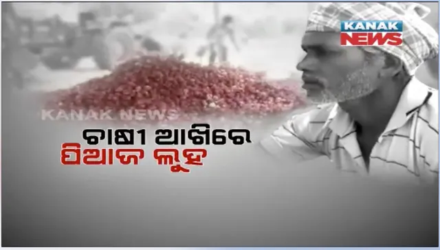 କଲବଲ କରୁଛି ଅଭାବି ବିକ୍ରି, ପିଆଜ ଚାଷୀଙ୍କ ଆଖିରେ ଲୁହ : କଳାହାଣ୍ଡି ଜିଲ୍ଲାରେ ମାତ୍ର ୫ଟଙ୍କାରେ ବିକ୍ରି ହେଉଛି କିଲେ ପିଆଜ