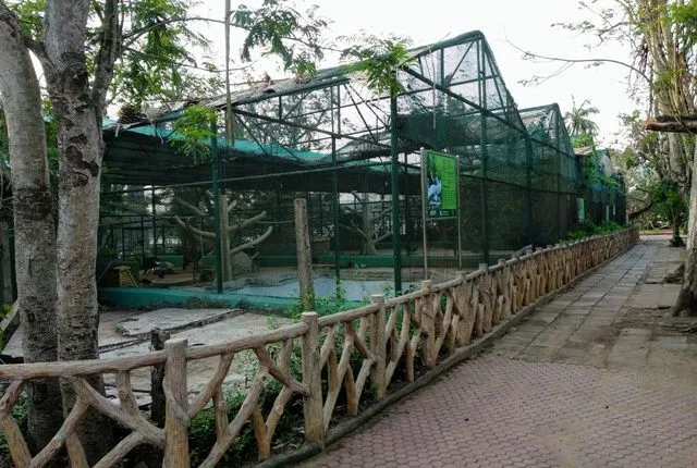 ସଜଡ଼ା ଚାଲିଛି ନନ୍ଦନକାନନ : ସ୍ଥିତି ସ୍ୱାଭାବିକ କରିବା ପାଇଁ ଜୋରସୋରରେ ଚାଲିଛି କାମ, ପୁଣି ହେବ ଗ୍ରୀଷ୍ମ ସୁରକ୍ଷା ବ୍ୟବସ୍ଥା