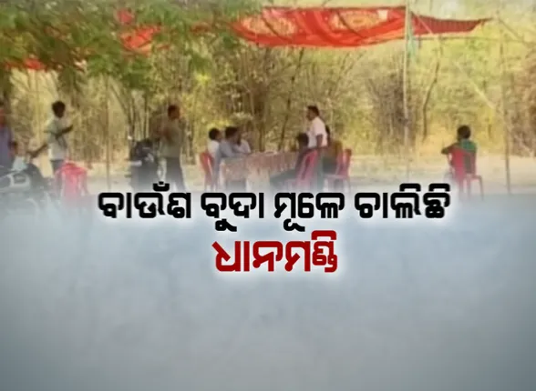 ଖୋଲା ଆକାଶ ତଳେ ବାଉଁଶ ବୁଦା ମୂଳେ ଚାଲିଛି ମଣ୍ଡି : ଖରା ତାତିରେ ସମ୍ବଲପୁର କୁକୁଡାପାଲି ମଣ୍ଡିରେ ସନ୍ତୁଳି ହେଉଛନ୍ତି ହେଉଛନ୍ତି ଚାଷୀ, ପିଇବା ପାଣିର ବନ୍ଦୋବସ୍ତ ନଥିବା ଅଭିଯୋଗ