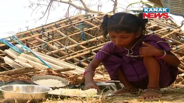 ଲୋକଙ୍କ ଅଣ୍ଟା ଭାଙ୍ଗି ଦେଇଛି ବାତ୍ୟା ଫୋନି ! ୫ ଦିନ ହେଲା ପେଟରେ ପଡିନି ଆହାର , ଚୂଡା ଗୁଡକୁ ଆଶ୍ରୟ କରି ବଚିଂଛନ୍ତି ଲୋକେ