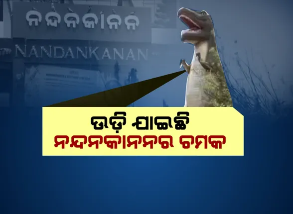 ନନ୍ଦନକାନନର ଶୋଭା ବିଗାଡ଼ିଦେଲା ଫୋନି  : ଘଂଚ ବନାନୀ ଭିତରେ ପରିପୂର୍ଣ୍ଣ ନନ୍ଦନକାନନ ଏବେ ସମ୍ପୂର୍ଣ୍ଣ ନିର୍ଜନ, ଯୁଦ୍ଧକାଳୀନ ଭିତ୍ତିରେ ଚାଲିଛି ପୁନରୁଦ୍ଧାର କାମ