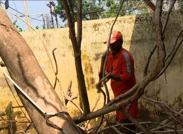 ଭୁବନେଶ୍ୱରରେ ଜାରି ରହିଛି ପୁନଃରୁଦ୍ଧାର କାର୍ଯ୍ୟ ! ବିଭିନ୍ନ ସ୍ଥାନରେ ଗଛ ହଟାଉଛନ୍ତି ଏନଡିଆରଏଫ ଟିମ, ସେପଟେ ପୁରୀ ଓ ଖୋର୍ଦ୍ଧାରେ ଜୋରସୋରରେ ଚାଲିଛି ବିଦ୍ୟୁତ ପାଇଁ କସରତ