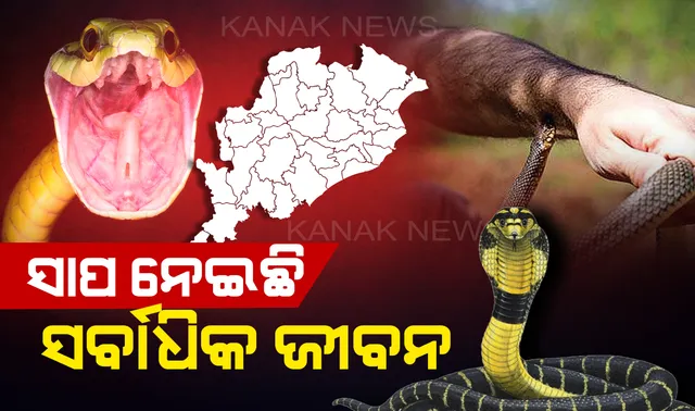 ବଜ୍ରାଘାତ, ସର୍ପାଘାତ ଓ ପାଣିରେ ବୁଡି ଯାଇଛି ସର୍ବାଧିକ ଜୀବନ: ୩ ବର୍ଷରେ କେଉଁଠି କେତେ ଜଣଙ୍କ ମୃତ୍ୟୁ ହୋଇଛି ପଢନ୍ତୁ...