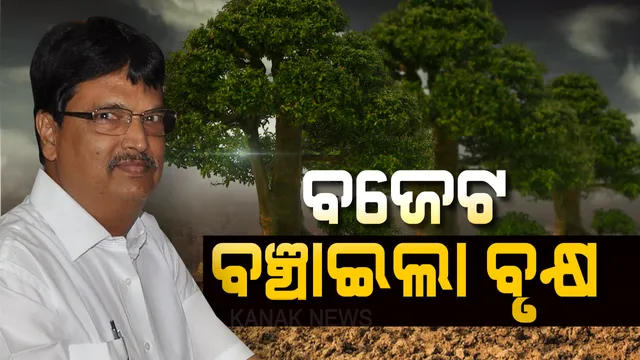 ମୁଦ୍ରଣ କମିଲା, ଗଛ ବଞ୍ଚିଲା: ୫୦୦ ସେଟରୁ ୨୦୦କୁ ହ୍ରାସ ହେଲା ବଜେଟ ପୁସ୍ତିକା, ଇଲେକ୍ଟ୍ରୋନିକ୍ସ ମାଧ୍ୟମକୁ ଗୁରୁତ୍ୱ