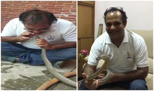 ସ୍କୁଲରେ ଅଚେତ ଅବସ୍ଥାରେ ପଡିଥିଲା ସାପ : ନିଜ ଜୀବନକୁ ବାଜି ଲଗାଇ ସାପର ଜୀବନ ବଂଚାଇଲେ ଆୟକର ଅଧିକାରୀ 