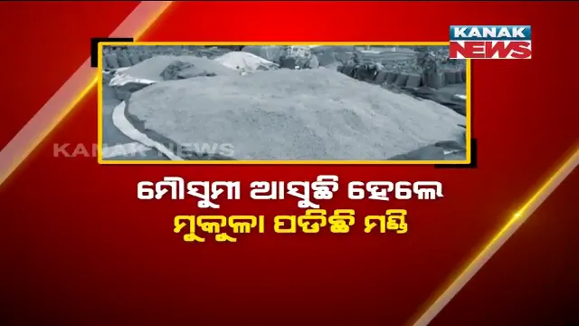 ଓଡିଶା ଛୁଇଁବ ମୌସୁମୀ : କଳାହାଣ୍ଡି ଜୁନାଗଡ ମଣ୍ଡିରେ ଖୋଲା ଆକାଶ ତଳେ ପଡିଛି ହଜାର ହଜାର କ୍ୱିଂଟାଲ ଧାନ, ବିକ୍ରି ପାଇଁ ଚିନ୍ତାରେ ଚାଷୀ