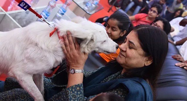 ମାନେକାଙ୍କ ପଶୁ ପ୍ରେମ ! ବୁଲା କୁକୁରର ଚିକିତ୍ସା କରାଇ ଚର୍ଚ୍ଚାରେ ମହିଳା ବିଜେପି ସାଂସଦ ।