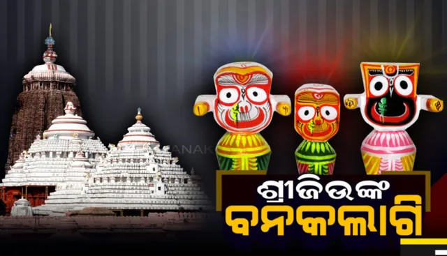 ଜନ୍ମବେଦୀରେ ଶ୍ରୀଜିଉ: ଆଜି ମହାପ୍ରଭୁଙ୍କ ବନକ ଲାଗି ନୀତି; ଅପରାହ୍ନରୁ ରାତି ୯ଟା ଯାଏଁ ବନ୍ଦ ରହିବ ସାଧାରଣ ଦର୍ଶନ