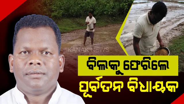 ବିଲରେ ବିହନ ବୁଣିଲେ ପୂର୍ବତନ ବିଧାୟକ । ରାଜନୀତି ମୈଦାନରୁ କ୍ଷେତରେ ଚାଷ, ଭିନ୍ନ ଭୂମିକାରେ ଡମ୍ବରୁ ସୀସା ।