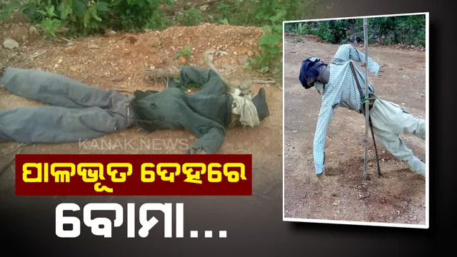 ନକ୍ସଲ ଆକ୍ରମଣର ନୂଆ ତରିକା: ପାଳଭୂତ ଭିତରେ ବୋମା ରଖି ସିଆରପିଏଫ୍ କ୍ୟାମ୍ପ ଉଡାଇବାକୁ ଯୋଜନା