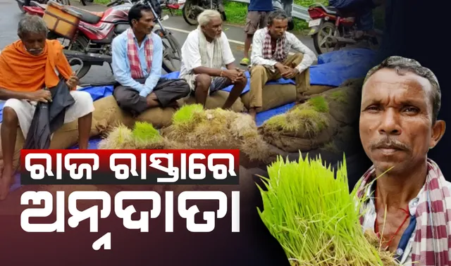 ମଣ୍ଡିରୁ ଉଠୁନି ଧାନ, ବସ୍ତାରେ ହେଲାଣି ଗଜା। ତୁରନ୍ତ ଉଠାଇବା ଦାବିରେ କଳାହାଣ୍ଡିରେ ରାସ୍ତାକୁ ଓହ୍ଲାଇଲେ ଚାଷୀ