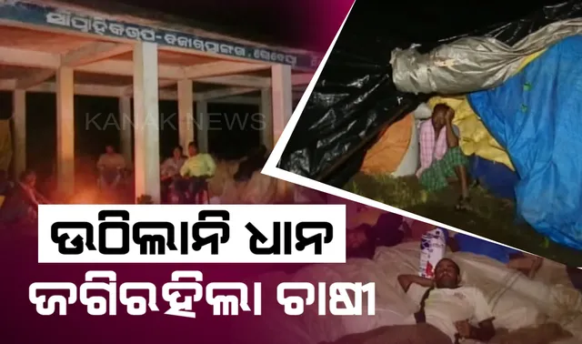 ୱେବସାଇଟ ବନ୍ଦ କାରଣରୁ ଧାନ ବିକ୍ରି ବନ୍ଦ । ମଣ୍ଡିରେ ପଡି ରହିଲା ୧୧ହଜାର କ୍ୱିଂଟାଲରୁ ଅଧିକ ଧାନ : ମିଲରକୁ ମିଳିଲାନି ଟ୍ରାନ୍ସପୋର୍ଟ ପାସ୍